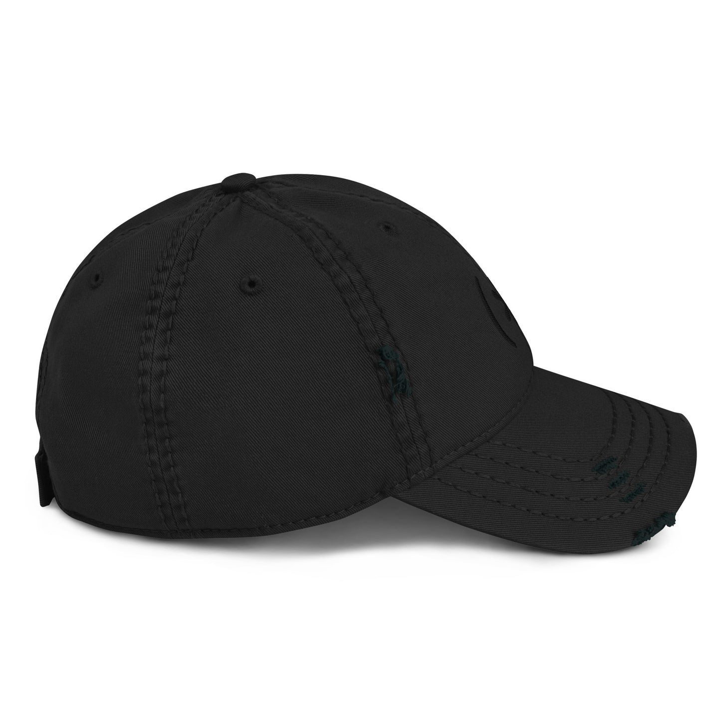 DD (*) distressed monochrome embroidery cap